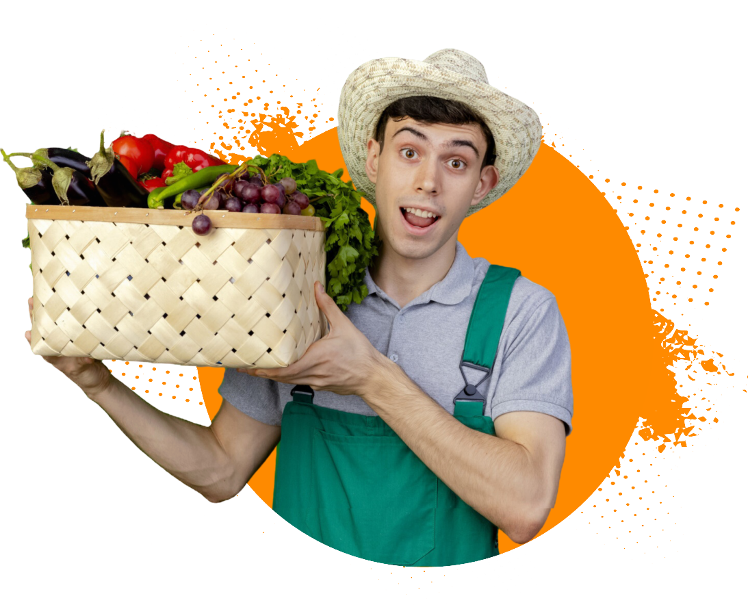 Pulpas de frutas naturales